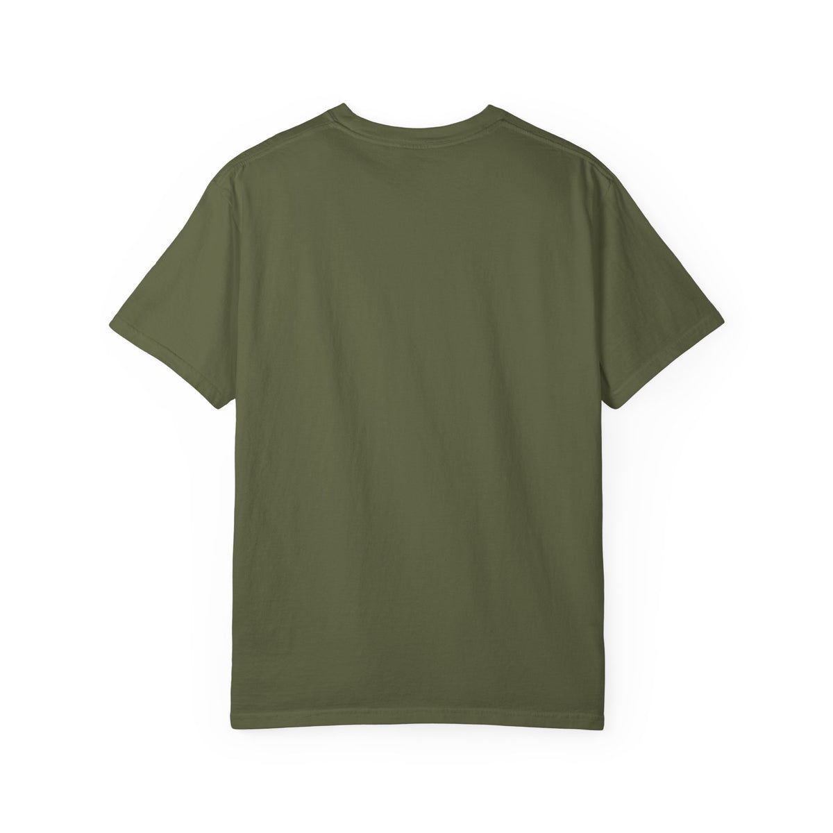 Broken Arrow Oneta Ridge Tiger T-Shirt